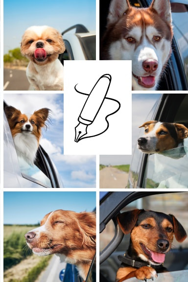 Image of doggies and cars which are the cover of a coil-bound notebook by Purple Sloth Media.